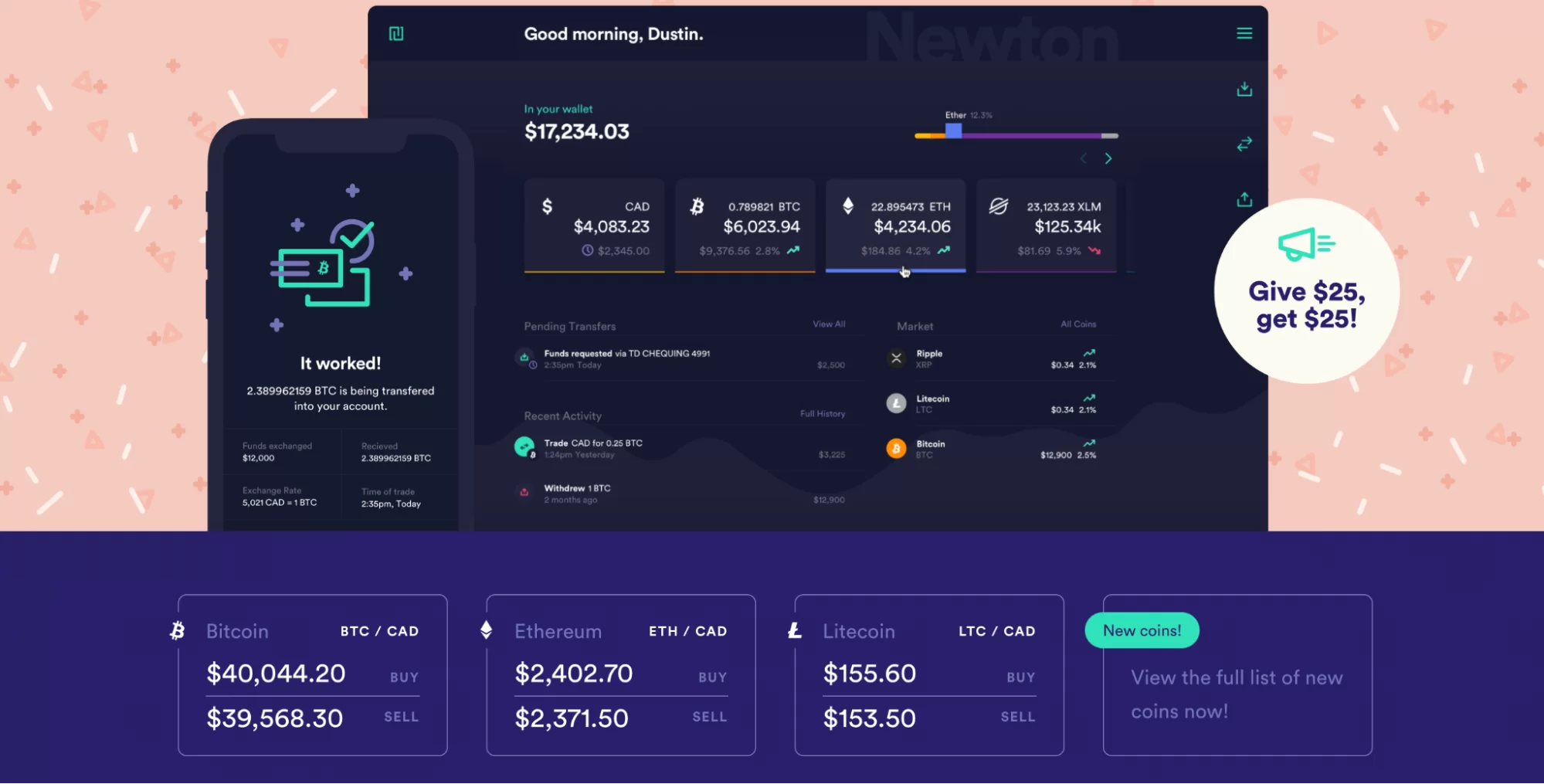 Newton desktop interface