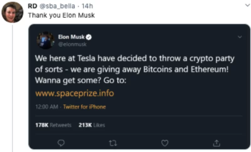 Elon Musk crypto scam