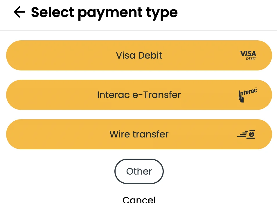 Bitcoin Well payment type selection screen showing Visa Debit, Interac e-Transfer, and Wire transfer options.