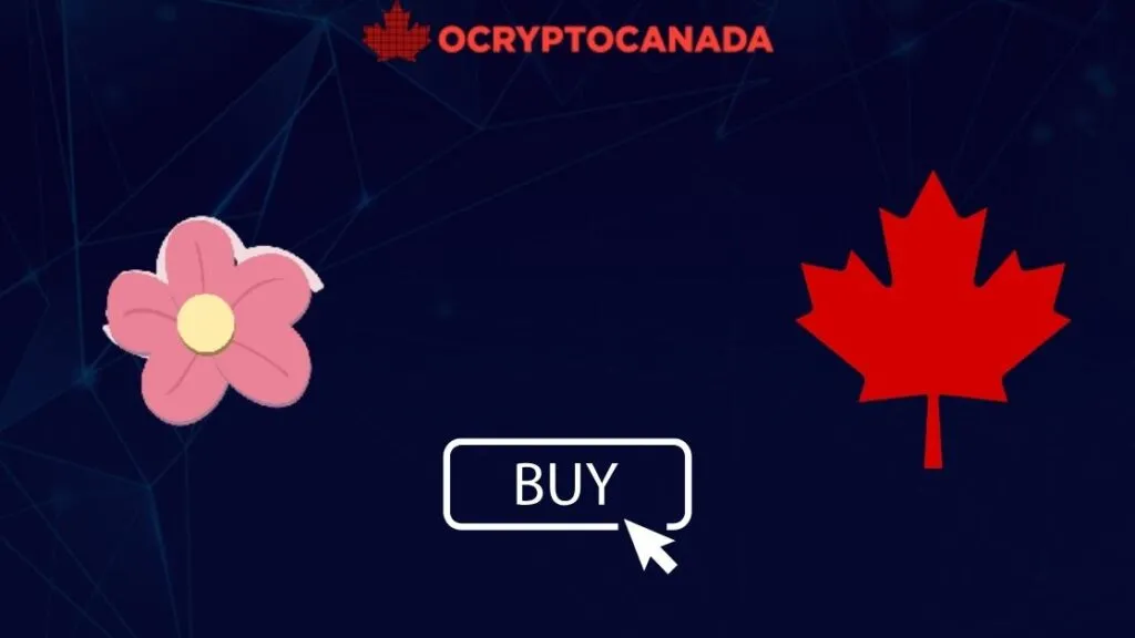 How to Buy My Neighbor Alice (ALICE) in Canada: 6 Ways in 2025