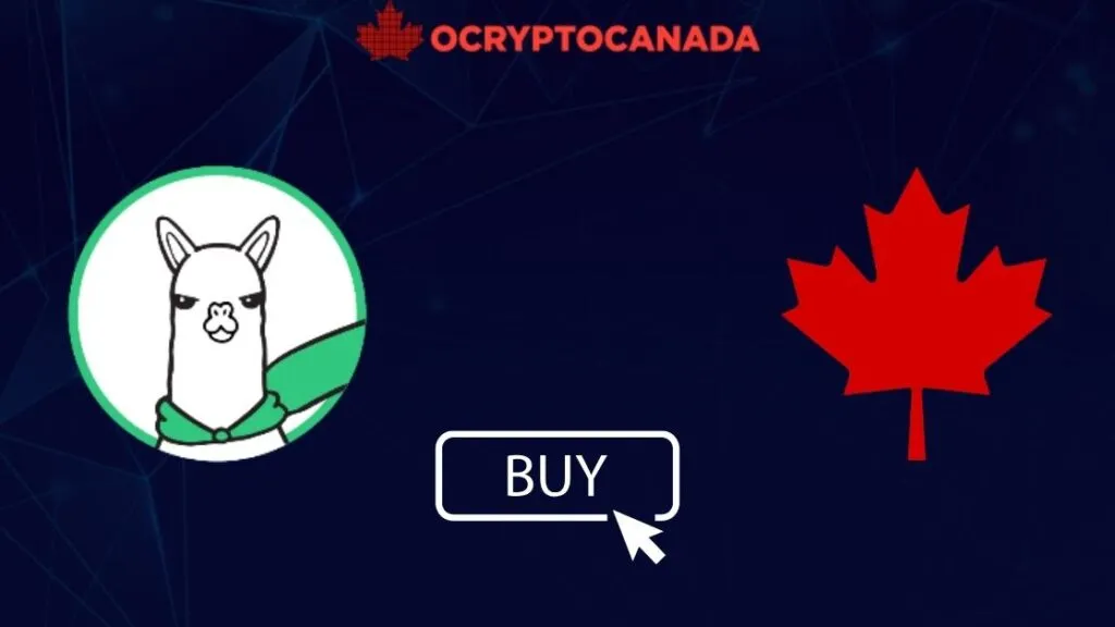 How to Buy Alpaca Finance (ALPACA) in Canada: 5 Ways in 2025