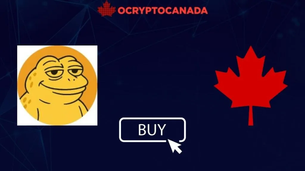 How to Buy TOAD in Canada: 3 Ways in 2025