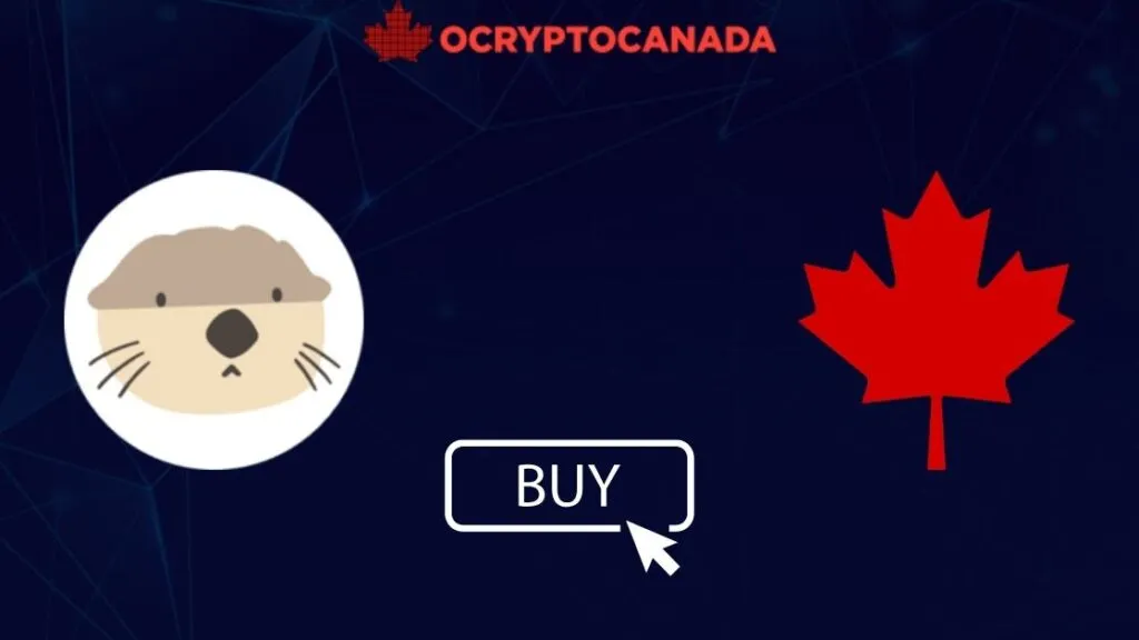How to Buy Haedal Protocol (HAEDAL) in Canada: 3 Ways in 2025