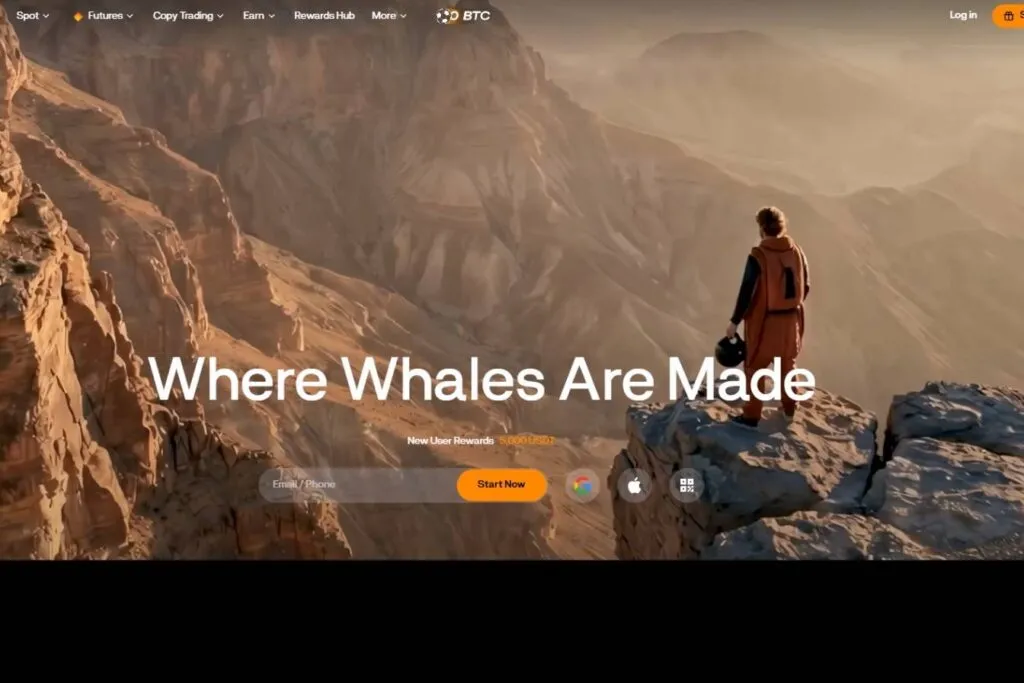 Blofin Review: Blofin website homepage showing a person on a mountain cliff with the text "Where Whales Are Made".